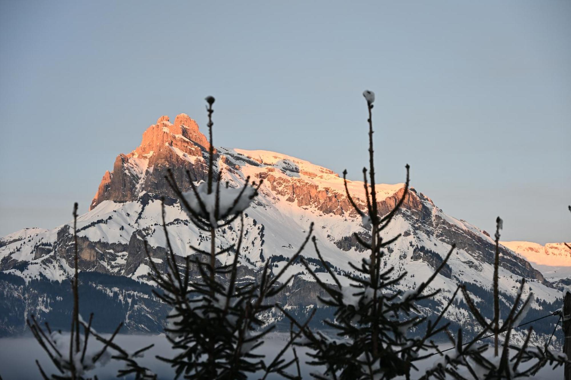 Montana * Combloux